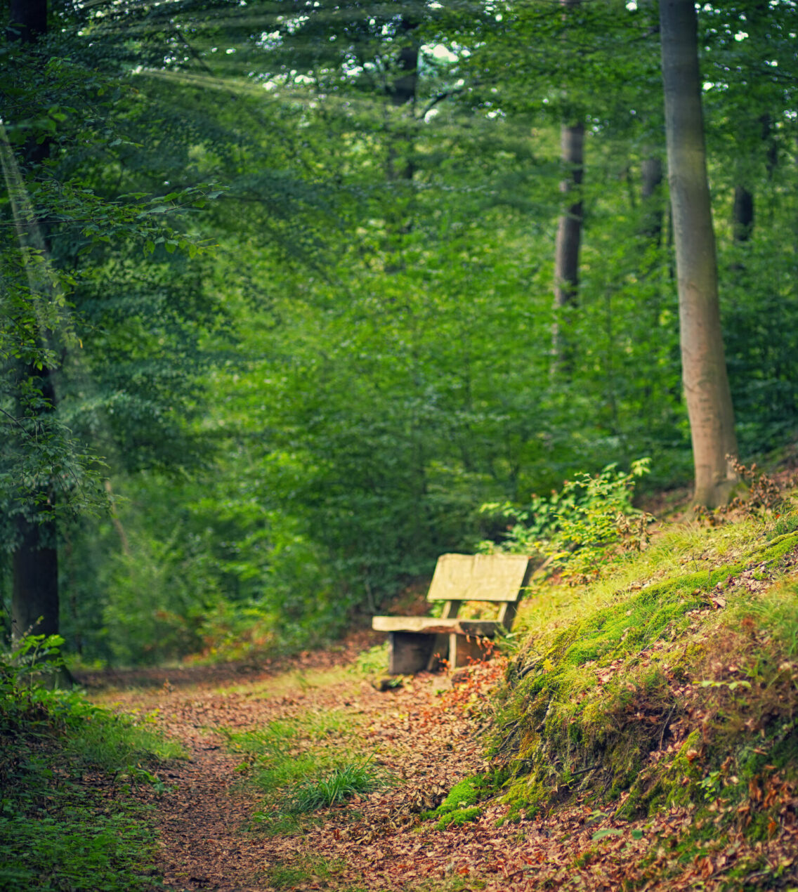 Le Chemin que je n&rsquo;avais pas prévu