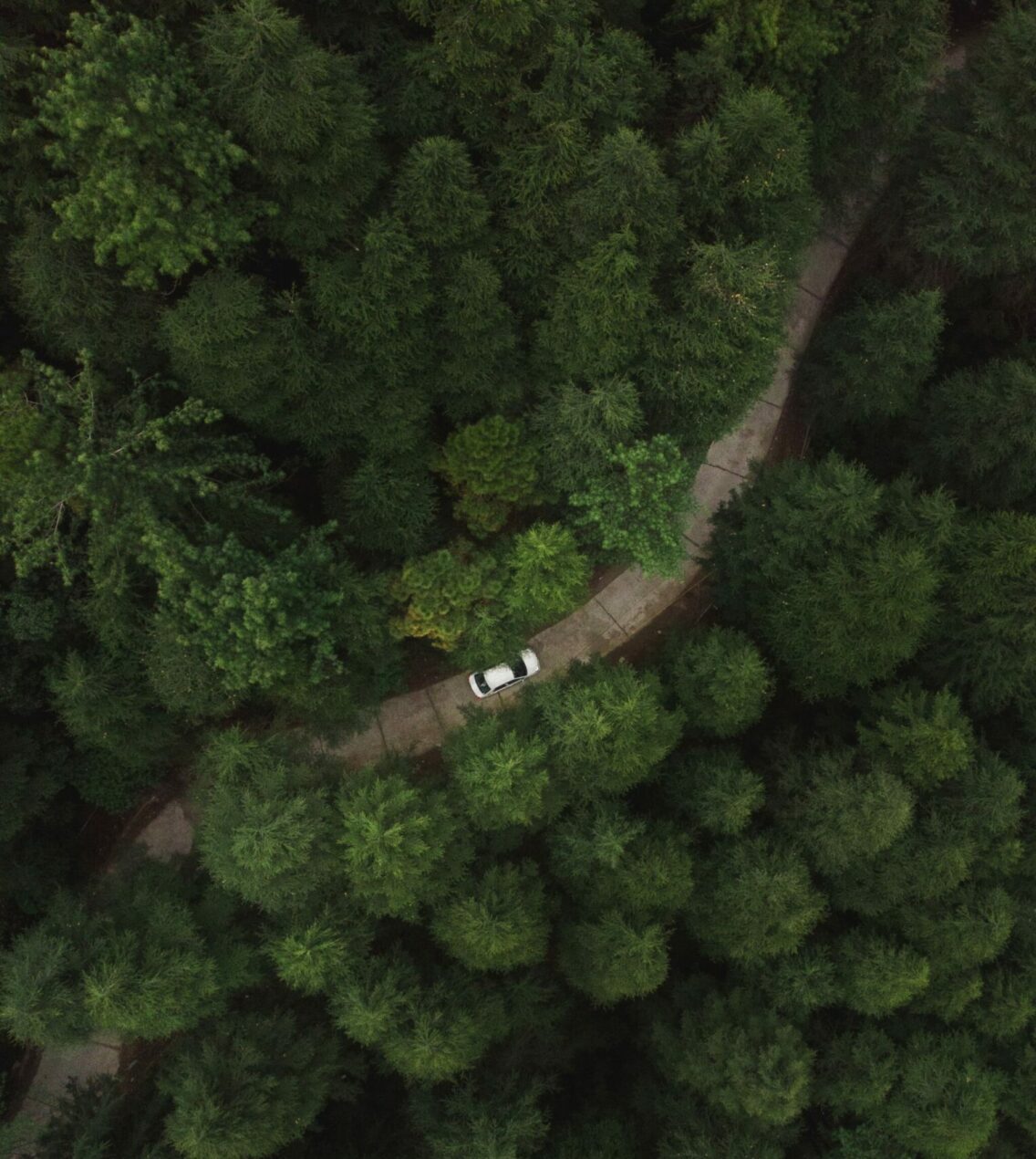 Là où se dessine une pratique