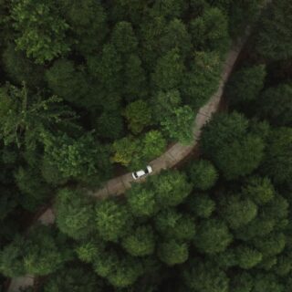 Le Chemin que je n’avais pas prévu