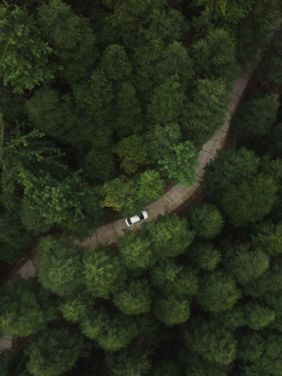 Là où se dessine une pratique