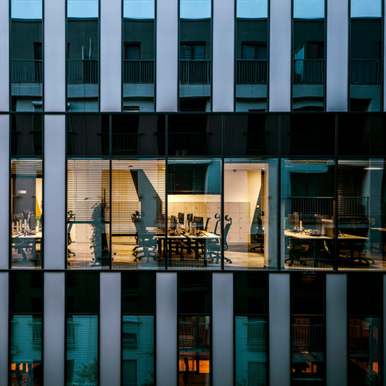 L&rsquo;invisibilité de l&rsquo;Excellence