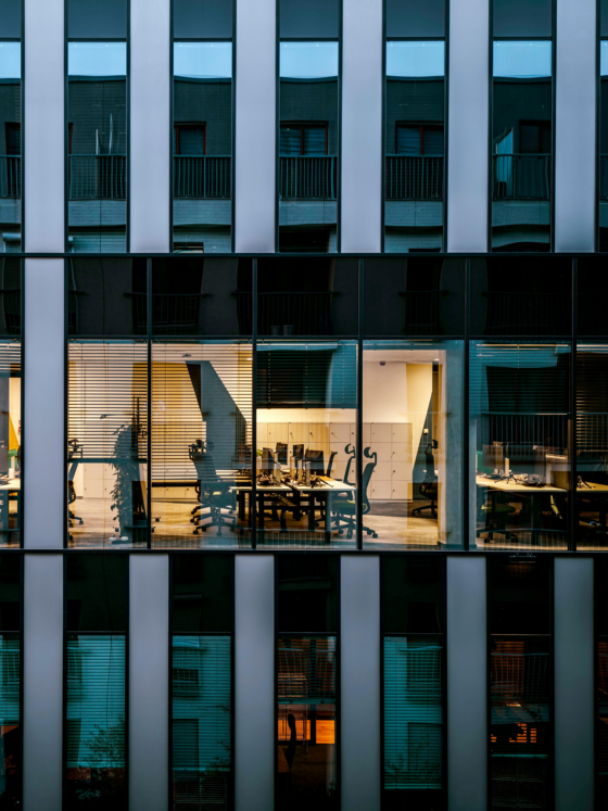 L&rsquo;invisibilité de l&rsquo;Excellence